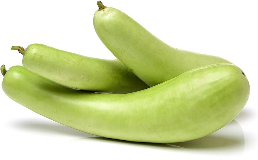 Bottle Gourd